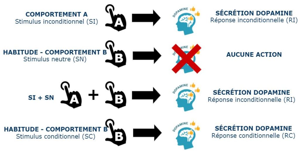 L’expérience de Pavlov - Le conditionnement associatif - Mister Fanjo